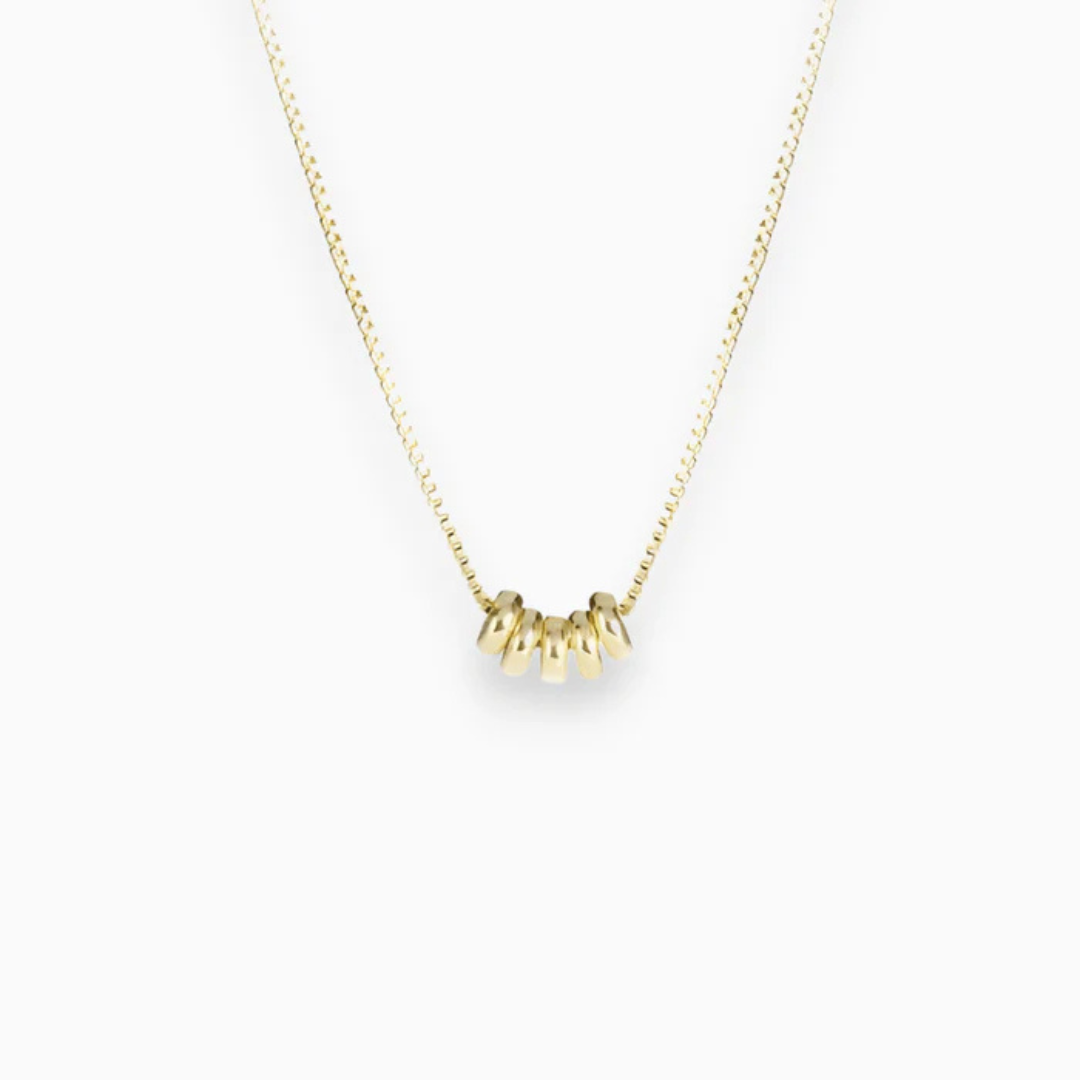 Delicate Charm Necklace