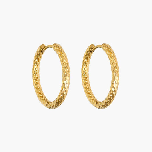 Luxury Vintage Hoops Earrings - Hesper